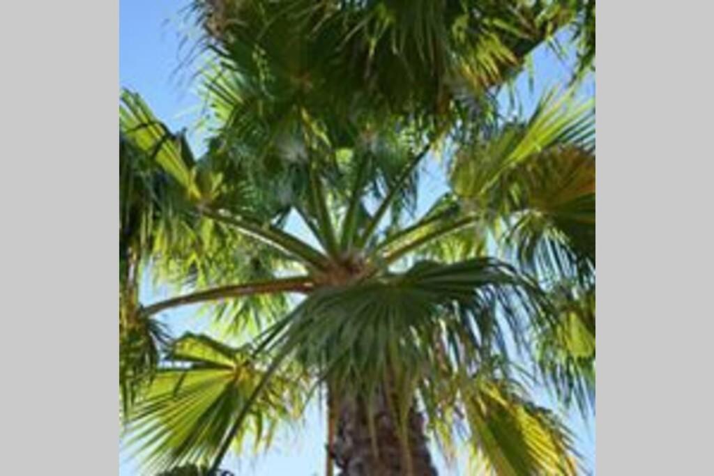 Finca Casa Mici Alhaurín el Grande المظهر الخارجي الصورة
