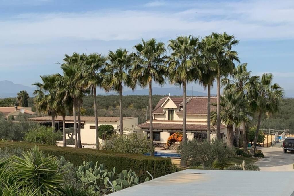 Finca Casa Mici Alhaurín el Grande المظهر الخارجي الصورة